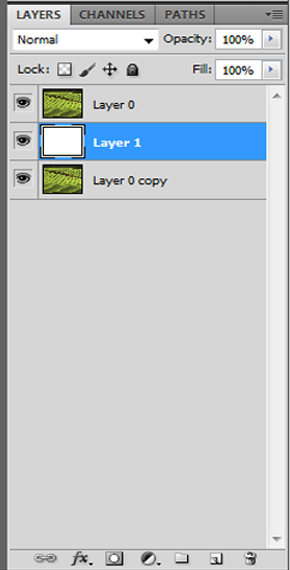 new-layer-in-layer-palette-in-photoshop-for-image-with-in-text.png
