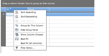 GridControl in silverlight