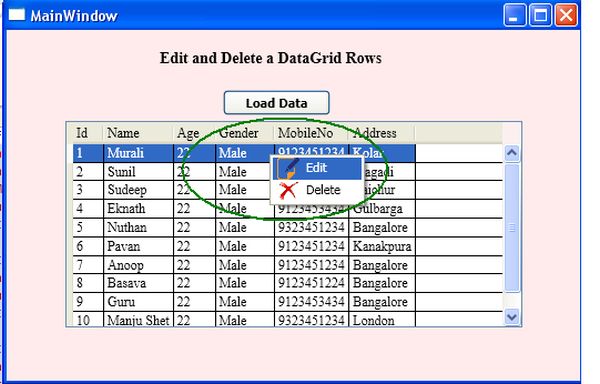 Edit-and-Delete-DataGridRow.5