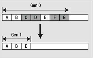 Classes, Objects, and References