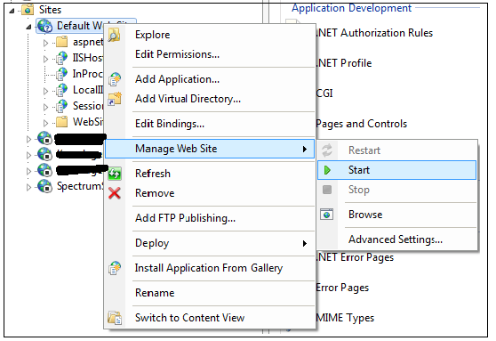 Start web site on IIS
