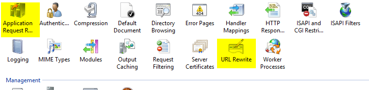 IIS.png