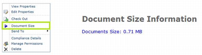 Document -Custom-Action.jpg