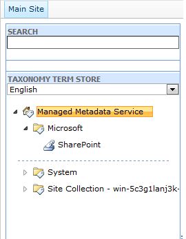 term-set-before-deleting-sharepoint2010.jpg