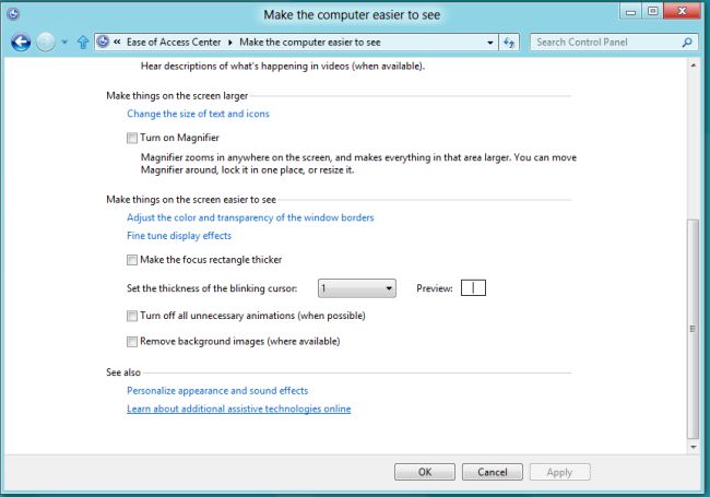 disable-magnifier-in-windows8.jpg