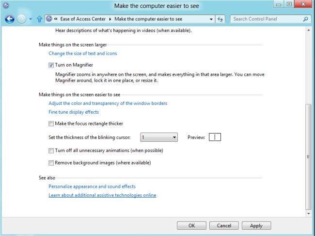 turnon-magnifier-in-windows8.jpg