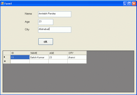 autoincrement in ado.net