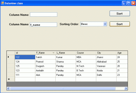 dataview class in .net