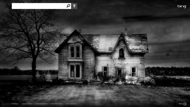 Bing-Search-Windows8.jpg