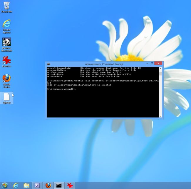 type-command-in-windows8-command-prompt.jpg