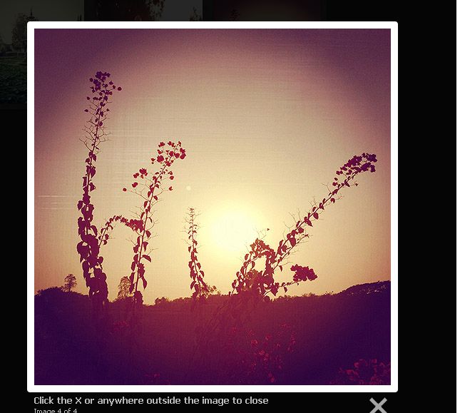 Light Box Effect in ASP.NET using JQuery