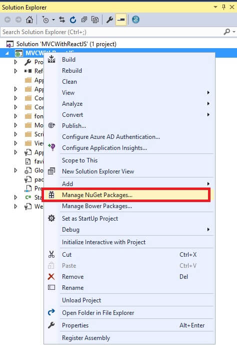 Nuget package Manager