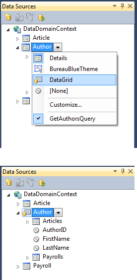 Business App using WCF RIA Services 