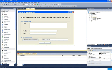 Access Environment Variables in VisualCOBOL