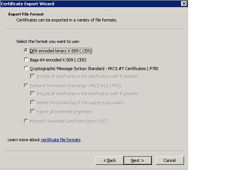 DER encoded binary in mmc