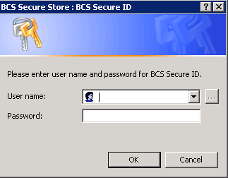 bcs secure store in sharepoint2010