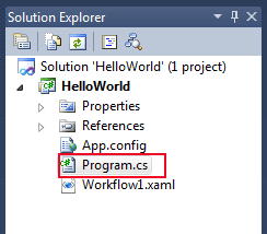 program file in Workflow 4.0
