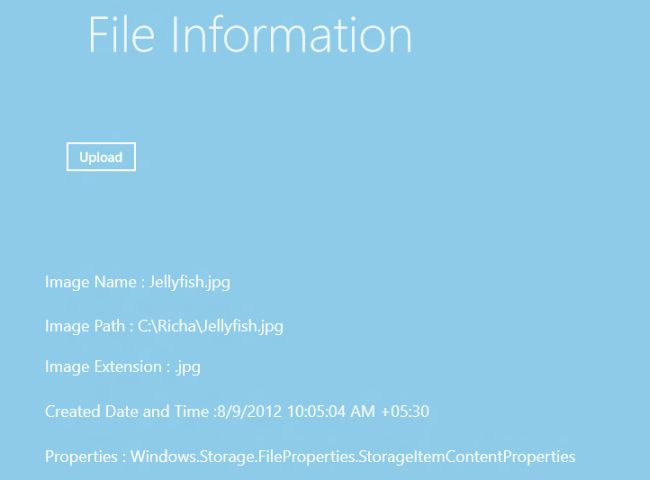 Display-all-the-information-of-files-In-Windows-8-apps.jpg
