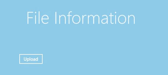Output-Screen-Of-File-Information-In-Windows-8-Apps.jpg