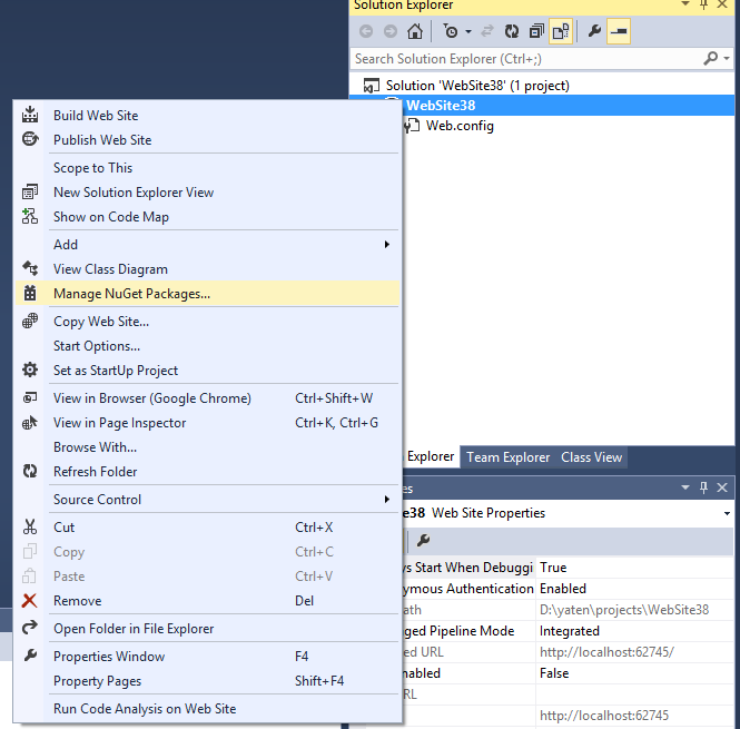 Manage Nuget Package