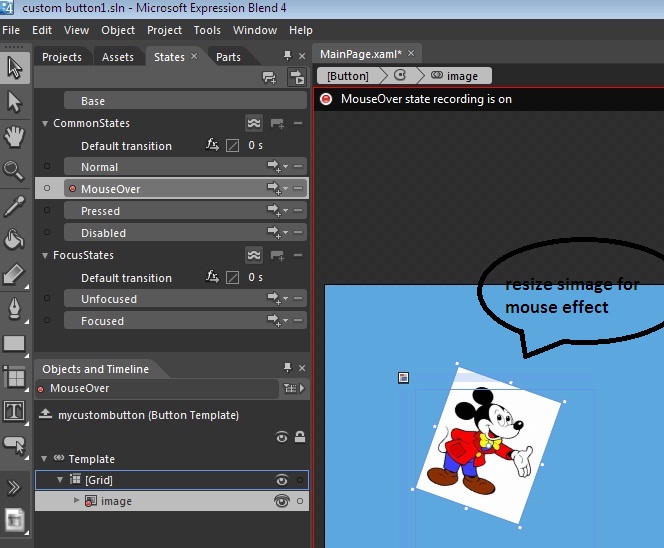 resizing effect in Expression Blend