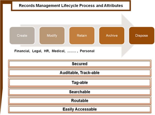 Records-Management -Lifecycle-Process.jpg