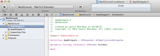 code-of-AppDelegate.h-in-iPhone.png