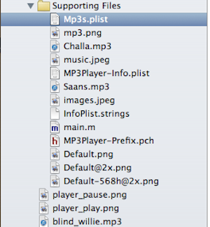 plist-file-in-iPhone.png
