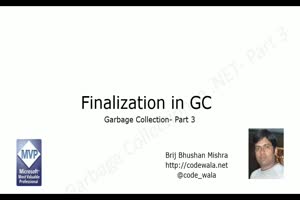 What is Finalization - Garbage Collection ...