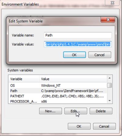 environmental variable4