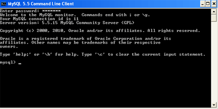 opening mysql console