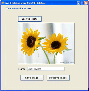 storing-and-retrieving-images-from-SQL.gif