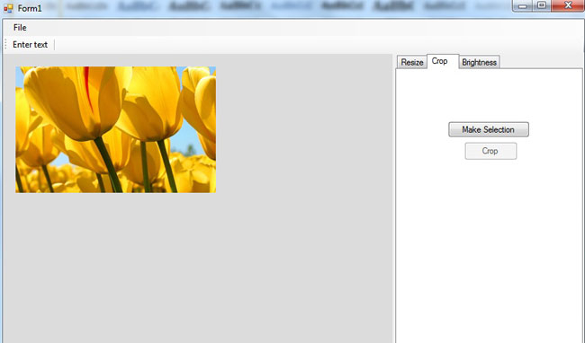 Image-Editing-tool-in-.Net.jpg