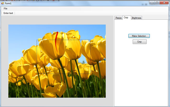 Image-Editing-tool-in-VB.Net.jpg