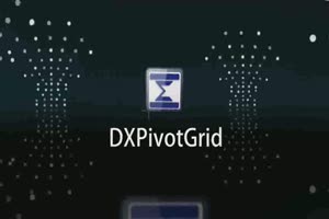 WPF Pivot Grid Control - End-User Layout F...