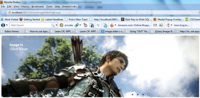 Customize Image Slider