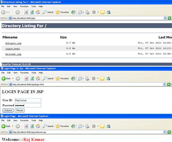 LoginJSP.gif