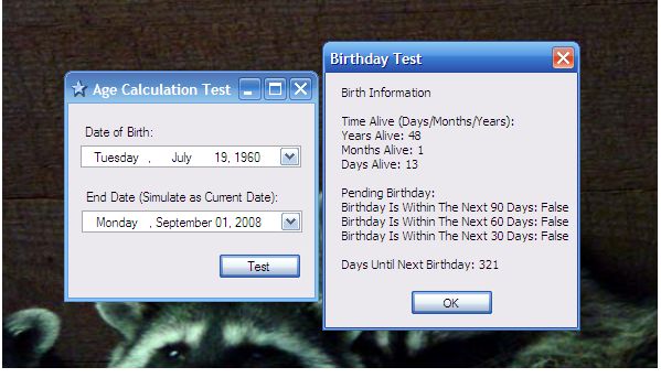 Test Application Main Form-in-windows8.jpg