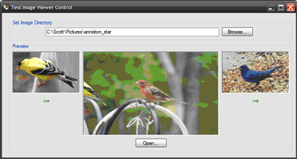 Image-Viewer-User-Control.gif