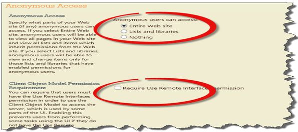 Anonymous-Access-in-SharePoint10.jpg