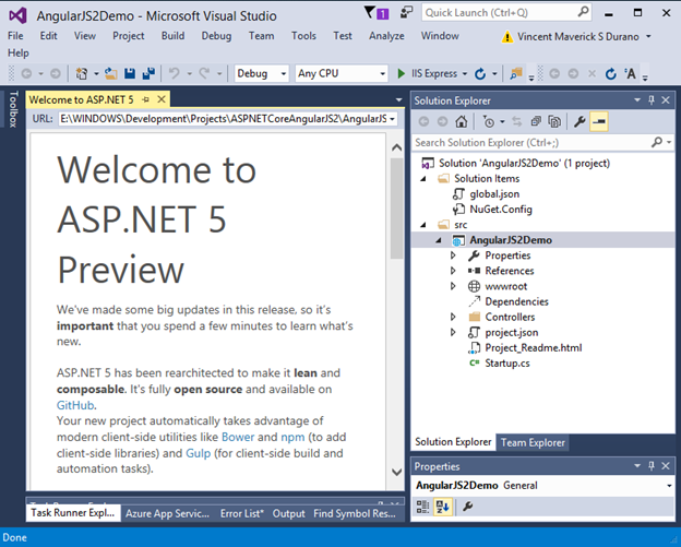 New default ASP.NET Core Empty project structure