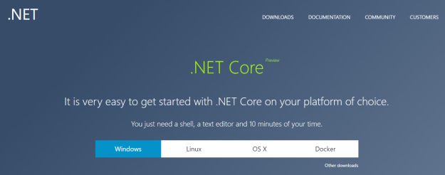 .NET Core is a cross-platform programming framework by Microsoft