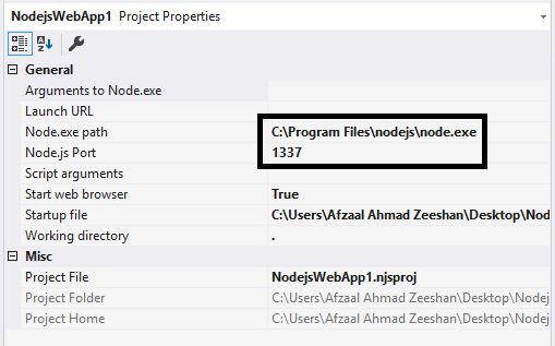 Node.js runtime setup for server configuration in the Visual Studio.