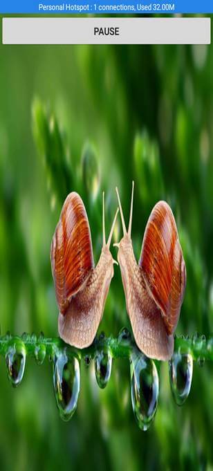 Audio Player Android App