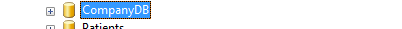 CompanyDB