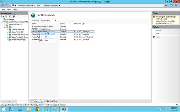 Enable basic authentication