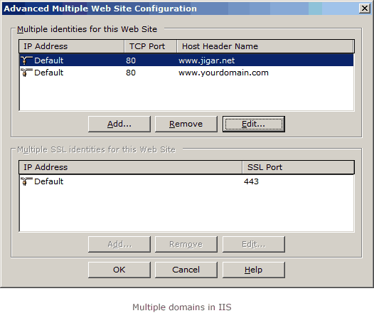 Multiple domains in IIS