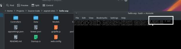 Creation of a new .NET Core project using web template