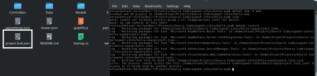 Project.lock.json file created after restoring the project