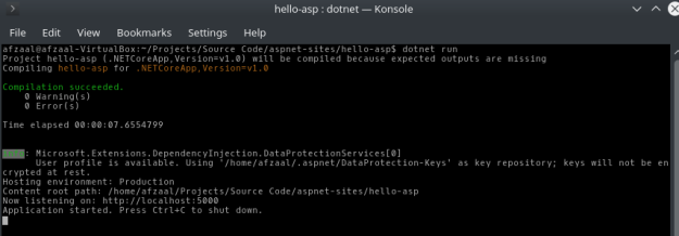 Build and run process of ASP.NET web application on .NET Core